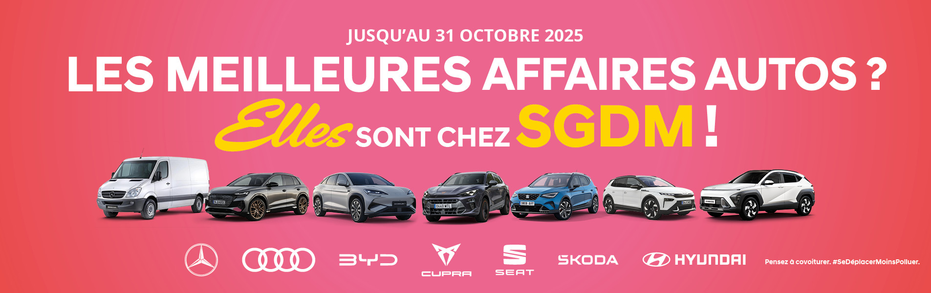 Elles sont chez SGDM
